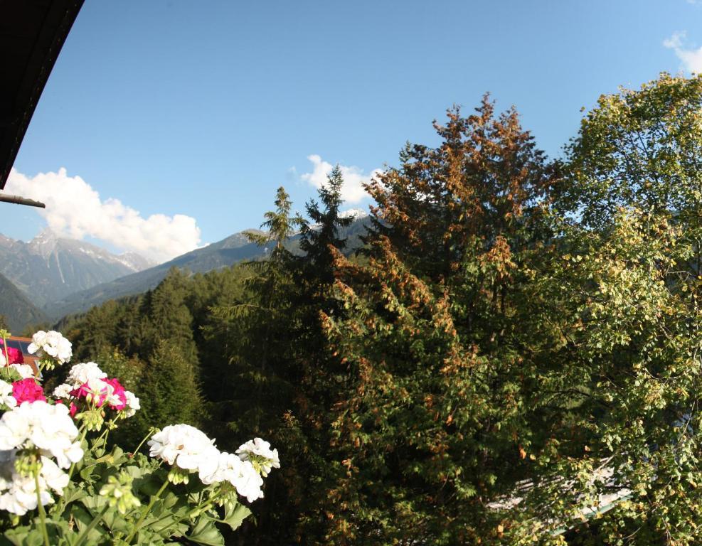 Apart Tuxertal Finkenberg Bilik gambar